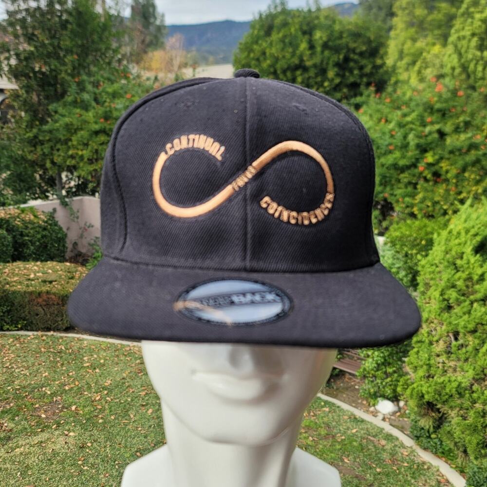 Continual Coincidences Snapback Hat - Picture 2 of 7